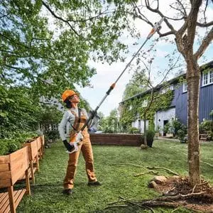 a woman wearing an orange hard hat and beige dungarees, using the STIHL HTA 30 Cordless Pole Pruner to prune a tree in a residential area
