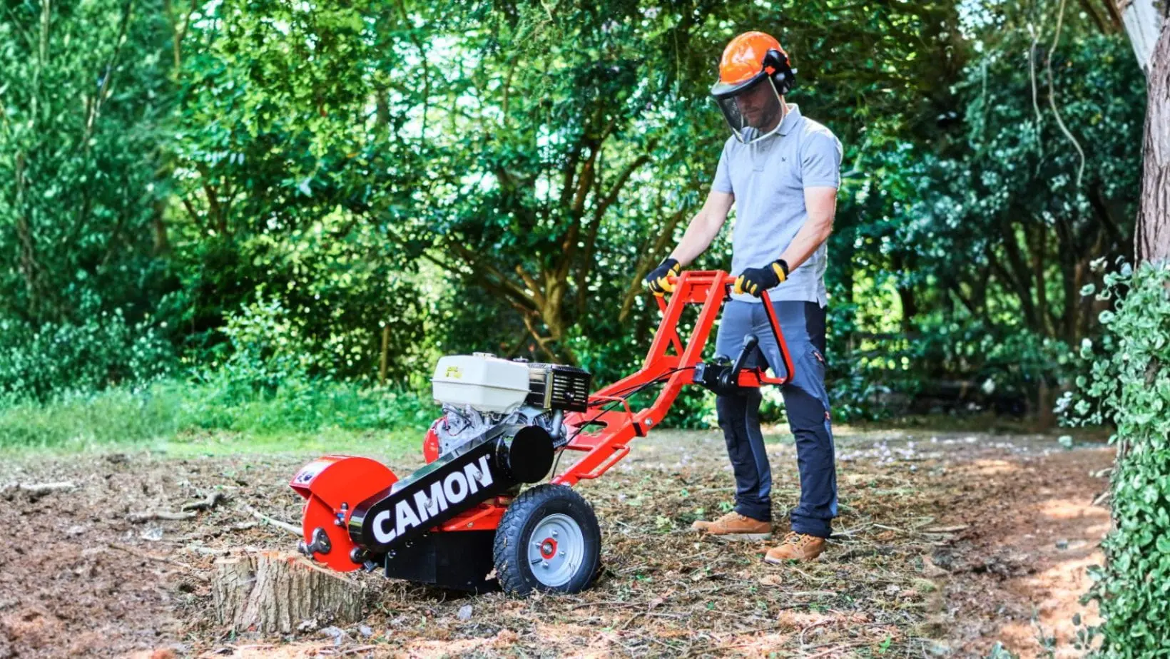 a man wearing a hardhat, using the Camon SG30 Stump Grinder to grind down a tree stump in a clearing in a wood