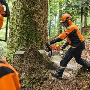 a forester dressed in full chainsaw PPE, using the STIHL MS 881 Petrol Chainsaw to cut into a large tree trunk, while being watched by a colleague