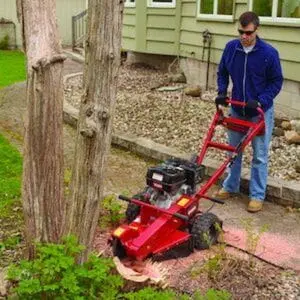 a man wearing sunglasses, using the Toro SGR-13 Petrol Stump Grinder to remove a tree stump, which is positioned next to two other trees, in front of a building with green, wooden cladding