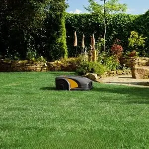 the STIGA A 5000 Robotic Mower on a lawn, with trees, hedging, plants and a paved area in the background