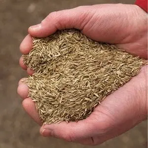 someone holding a heart-shaped pile of grass seed