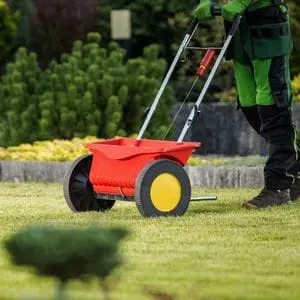 a professional gardener dressed in a green uniform, pushing a red spreader across a lawn