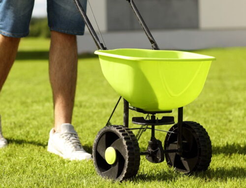 How to Avoid Stripes When Using a Lawn Spreader