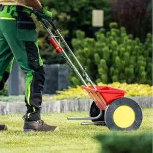 a side-on view of a professional gardener, wearing a green uniform, using a red lawn spreader