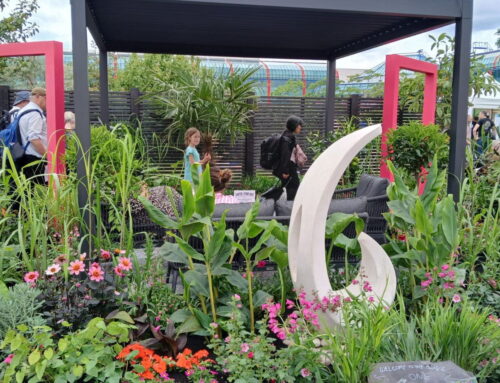 In ‘The Heart of the Jungle’ at BBC Gardeners’ World Live