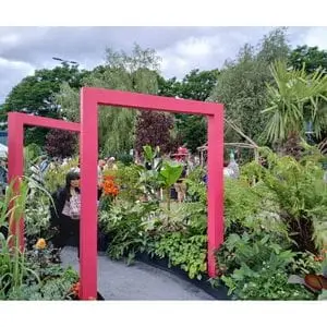 a woman walking on grey porcelain paving, underneath 2 square, pink arches, surrounded by trees and plants - part of Dakic Garden Design's The Heart of the Jungle show garden