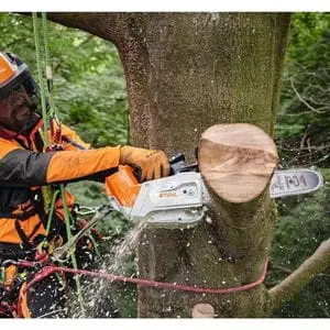 a man wearing full STIHL chainsaw PPE, hanging from a harness, using the STIHL MSA 220 T Cordless Chainsaw to delimb a tree