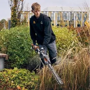 a young man trimming a shrub using a Husqvarna hedge trimmer