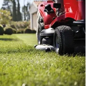 a close up of a Honda HF 2625 Ride-On Mower's cutter deck and front tyre