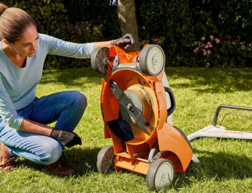 Should I Sharpen or Replace My Lawn Mower Blade?