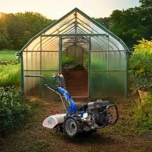 the BCS 706 Petrol Rotavator parked in front of a green-framed greenhouse in a smallholding