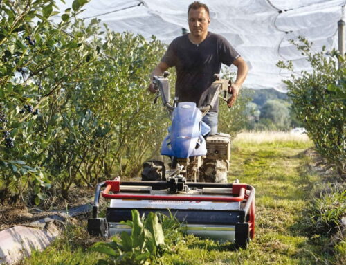 Would I Benefit from Buying a Two Wheel Tractor?