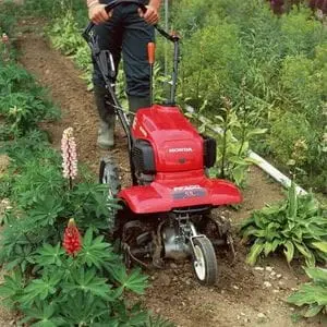 someone cultivating a row of soil between plants using the Honda FF300 Petrol Rotary Tiller