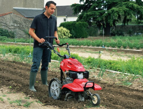 When Should You Cultivate Your Garden or Allotment?