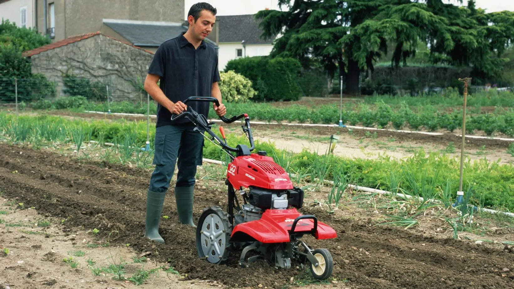a man using the Honda Tiller FF500 to cultivate soil in an allotment next to some houses