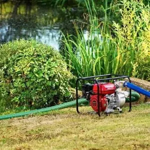 Honda petrol water pump with green suction hose and blue discharge hose, positioned on a grassy bank beside a garden pond.