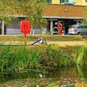 Honda petrol water pump on a grassy bank beside a pond, with a green suction hose extending into the water and a blue discharge hose running across the grass.